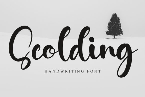 Scolding: A Bold Script Handwritten Font for Editorial Impact